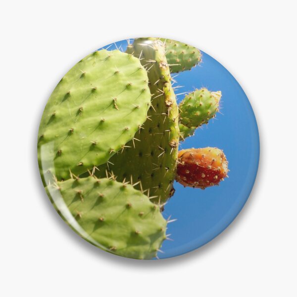 Item preview, Cactus. designed and sold by Anne Scantlebury.