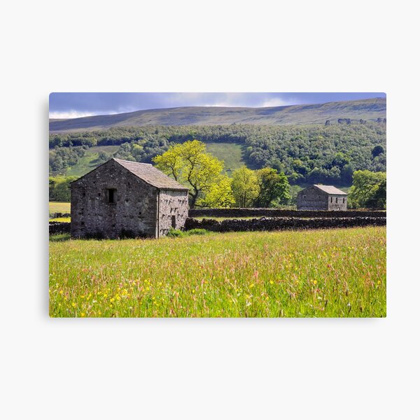 Summer Meadow, Wharfedale - The Yorkshire Dales Canvas Print