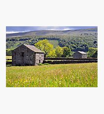 Summer Meadow, Wharfedale - The Yorkshire Dales Photographic Print