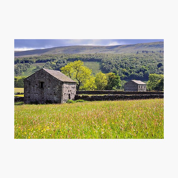 Summer Meadow, Wharfedale - The Yorkshire Dales Photographic Print