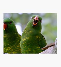 Ha Ha, You Crack Me Up! Photographic Print