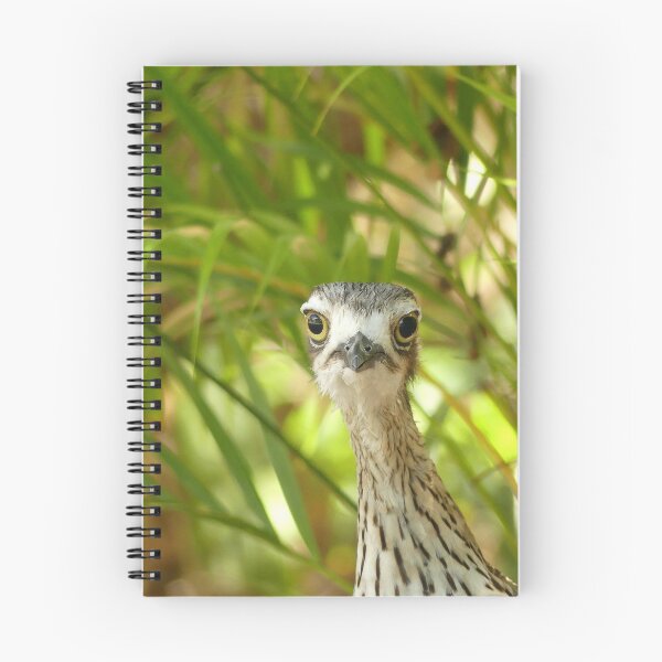 Item preview, Curlew Stare designed and sold by Ilyusha.
