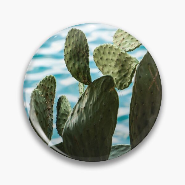 Item preview, Cactus. designed and sold by Anne Scantlebury.