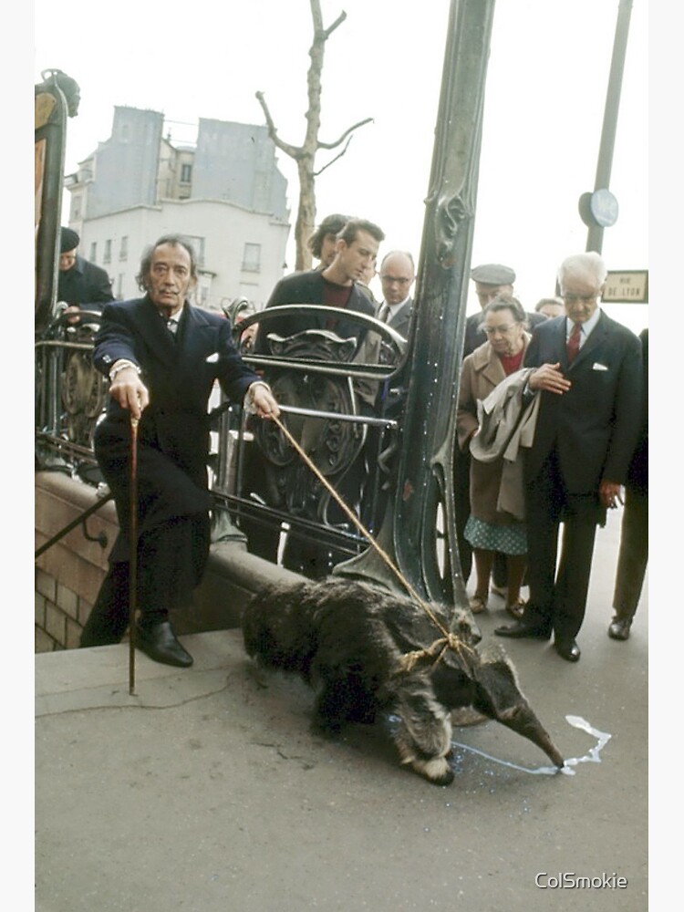 Discover Salvador Dalí Takes His Anteater for a Stroll in Paris, 1969 Premium Matte Vertical Poster