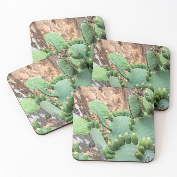 Item preview, Cactus. designed and sold by Anne Scantlebury.