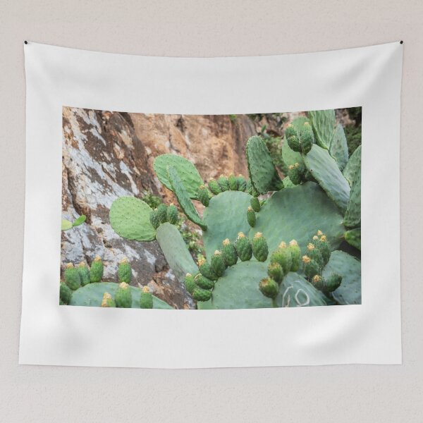 Item preview, Cactus. designed and sold by Anne Scantlebury.