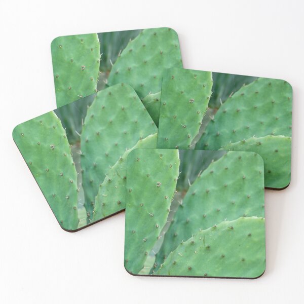 Item preview, Cactus. designed and sold by Anne Scantlebury.
