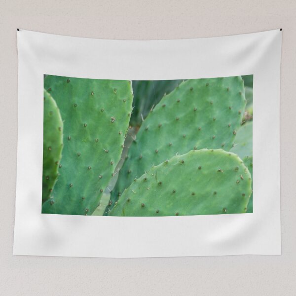 Item preview, Cactus. designed and sold by Anne Scantlebury.