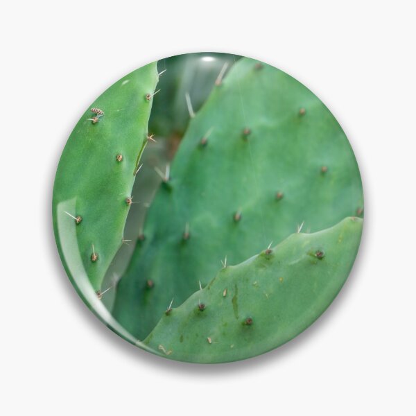 Item preview, Cactus. designed and sold by Anne Scantlebury.