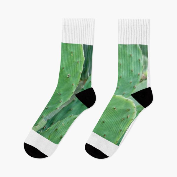 Item preview, Cactus. designed and sold by Anne Scantlebury.