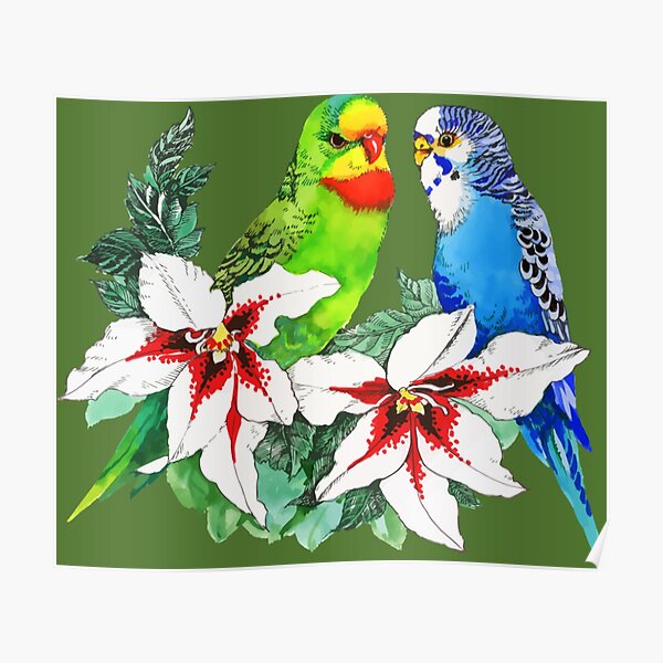 Love Birds Logo Design-t-shirt Poster
