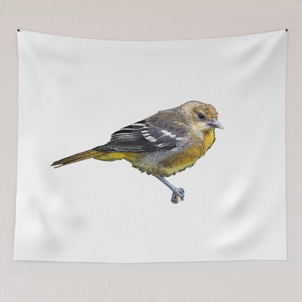Item preview, Oriole Color Print designed and sold by designsasstultd.