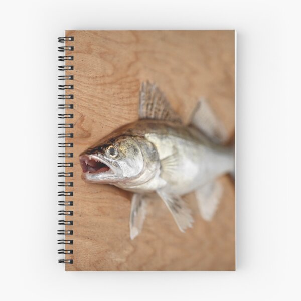 Item preview, walleye with open mouth designed and sold by mrivserg.