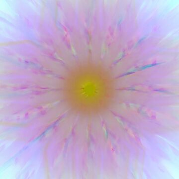 Artwork thumbnail, daisy by sofia-does-art