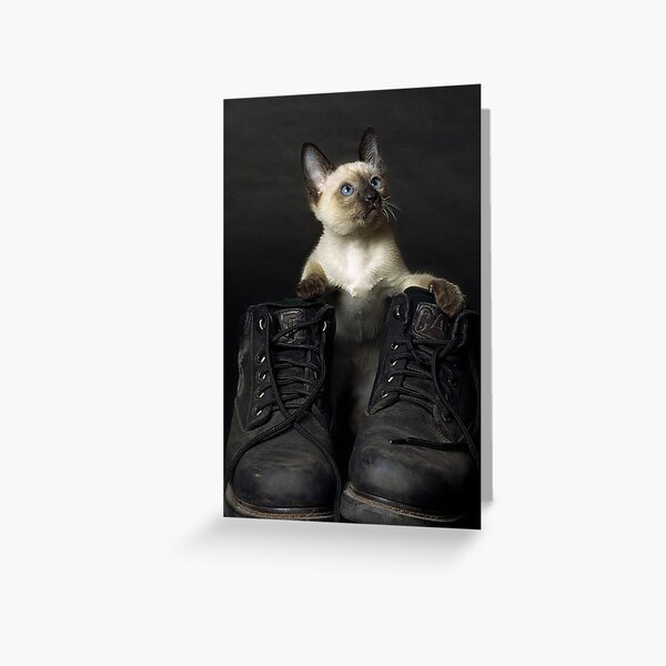 Item preview, These Boots are Made for Scratchin' designed and sold by billyboy.
