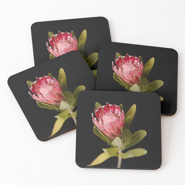 Item preview, Pink Protea designed and sold by Alyciacreative.