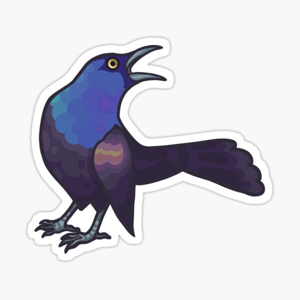 Item preview, Common Grackle designed and sold by Eambo's Cave.