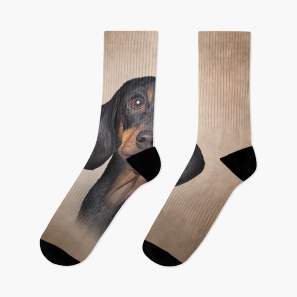 Item preview, Drawing Dog breed dachshund designed and sold by bonidog.