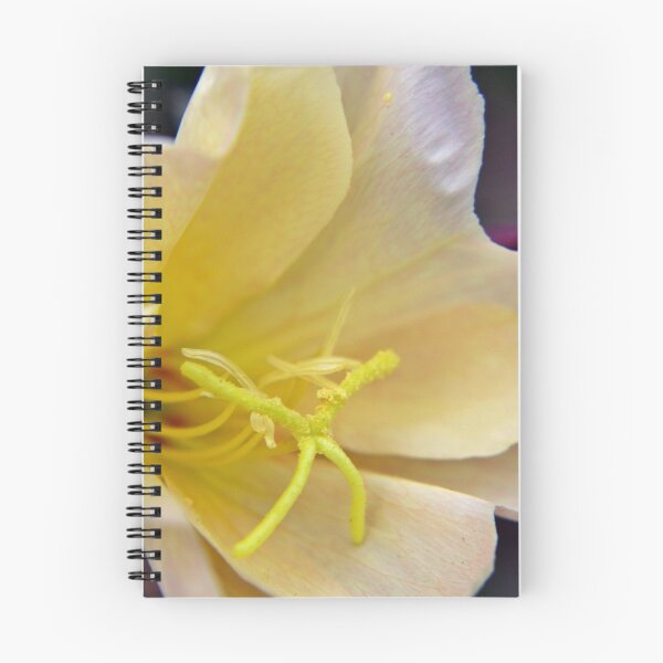 Item preview, Evening Primrose Flower A designed and sold by VikingVisual.