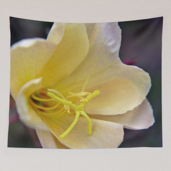 Item preview, Evening Primrose Flower A designed and sold by VikingVisual.