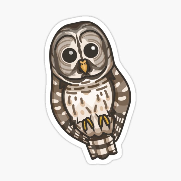 Barred Owl Sticker