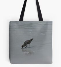 Sanderling forage Tote Bag