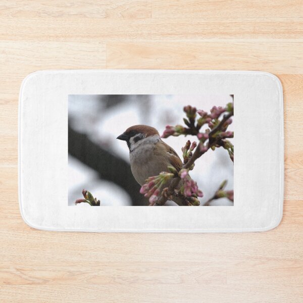 Item preview, Eurasian Tree Sparrow (passer montanus) in a Tree in Tokyo, Japan designed and sold by rodmacpherson.
