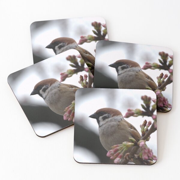 Item preview, Eurasian Tree Sparrow (passer montanus) in a Tree in Tokyo, Japan designed and sold by rodmacpherson.