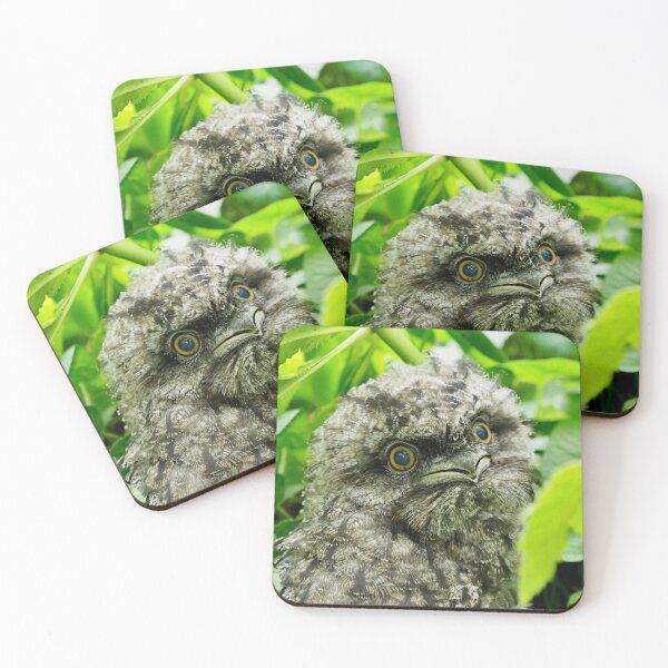 Item preview, Ridiculously cute Tawny Frogmouth Chick  designed and sold by BackyardZoology.