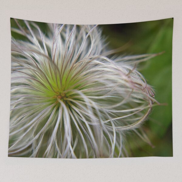 Item preview, Fluffy Allium A designed and sold by VikingVisual.