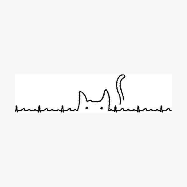 Cat Photographic Print