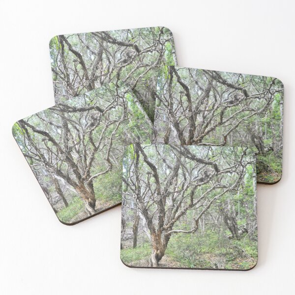 Item preview, The Edge of the Rainforest designed and sold by Margaret Stevens.