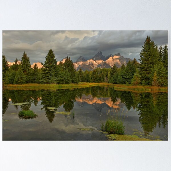 Immense Beauty Poster