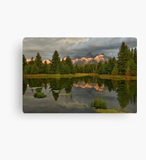 Immense Beauty Canvas Print