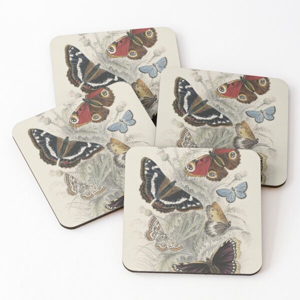 Item preview, Antique Engraved Print of Butterflies / Butterfly designed and sold by FuzzyHoney.