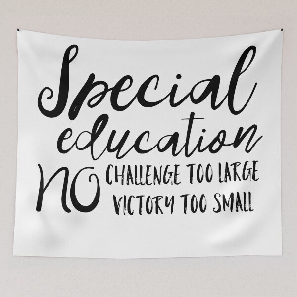 Item preview, SPED teacher designed and sold by EvyStickersx.