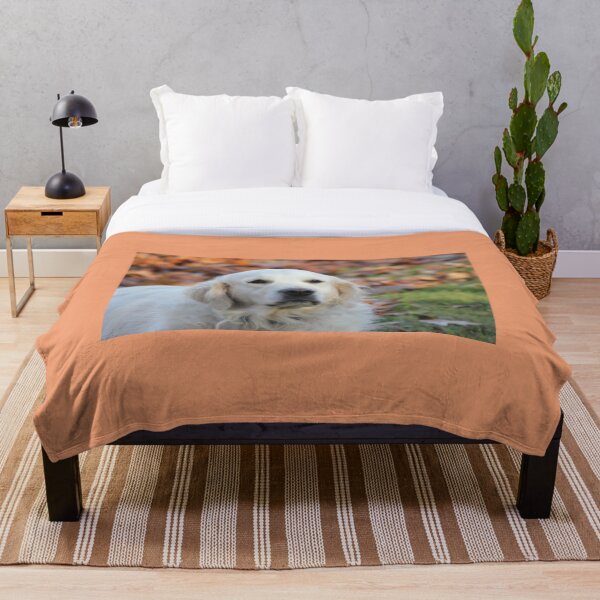 Item preview, Golden Retriever in the Autumn Sun designed and sold by Mythen.