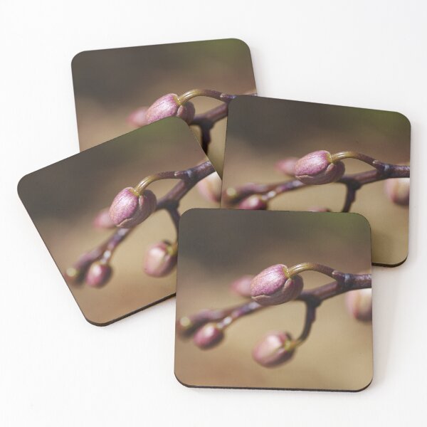 Item preview, Orchid Buds Pink  designed and sold by Joy Watson - Natural Light Photography .