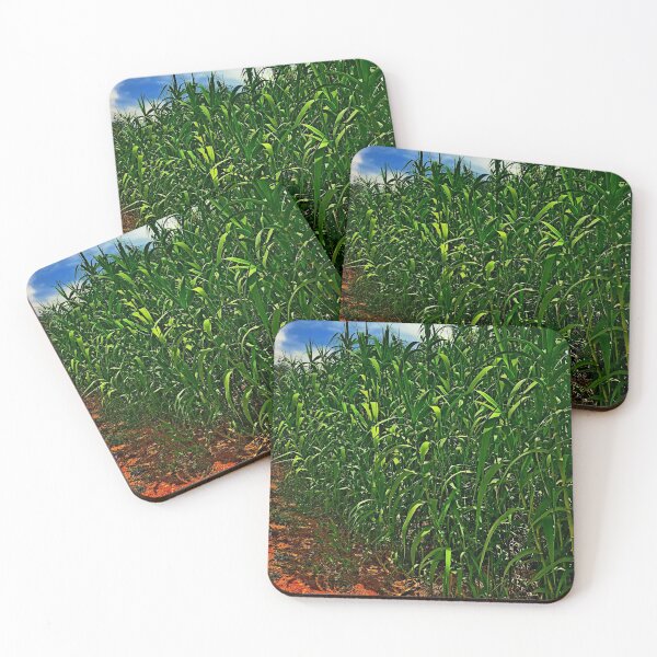 Item preview, Green Cyperus trail photo by Iritof designed and sold by iritof.