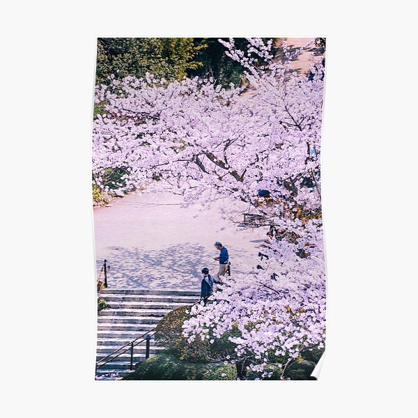 Japon - Stairs under Sakura Poster