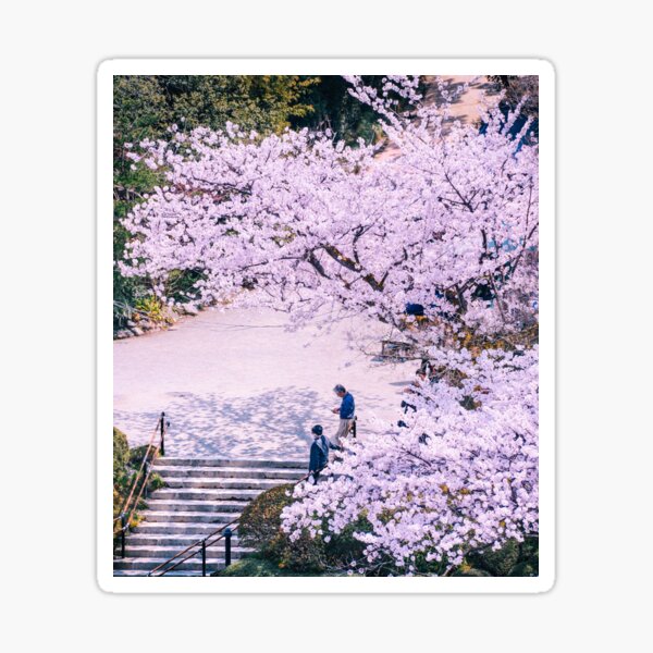 Japon - Stairs under Sakura Sticker
