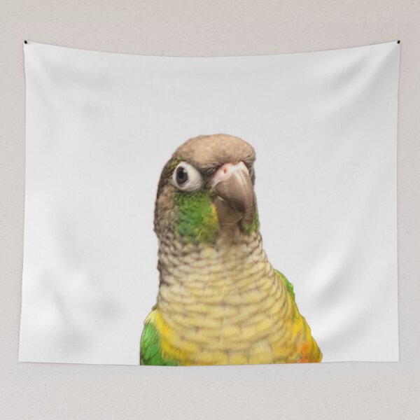 Item preview, Green Cheek Conure designed and sold by synthesizer.