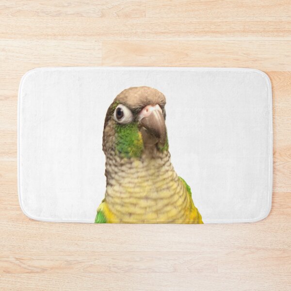 Artikelvorschau, Green Cheek Conure entworfen und verkauft von synthesizer.