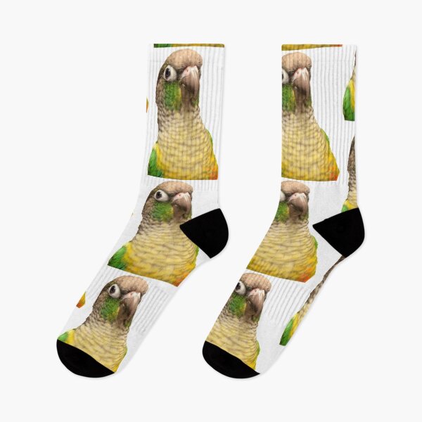 Aperçu de l'œuvre Green Cheek Conure créée et vendue par synthesizer.
