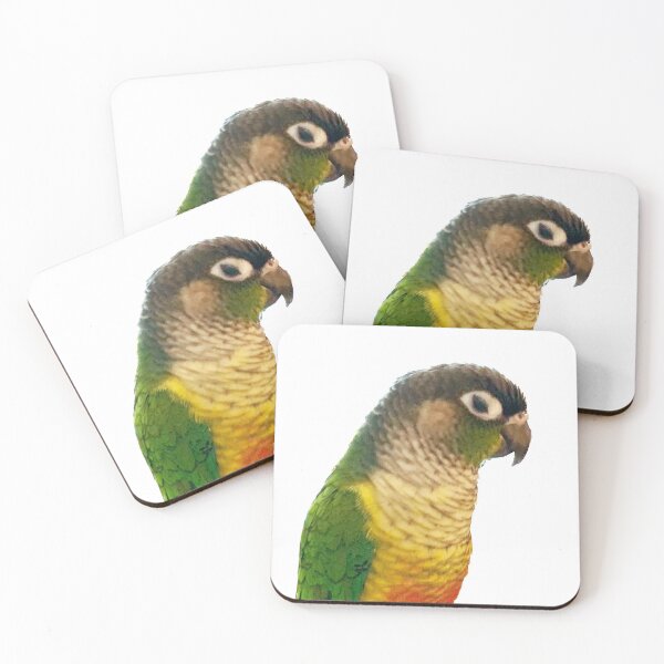 Item preview, Green Cheek Conure designed and sold by synthesizer.