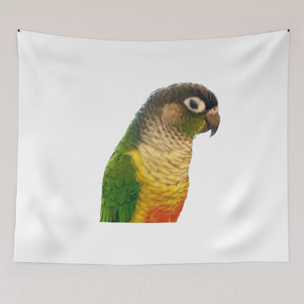 Artikelvorschau, Green Cheek Conure entworfen und verkauft von synthesizer.