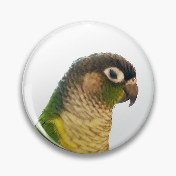Item preview, Green Cheek Conure designed and sold by synthesizer.