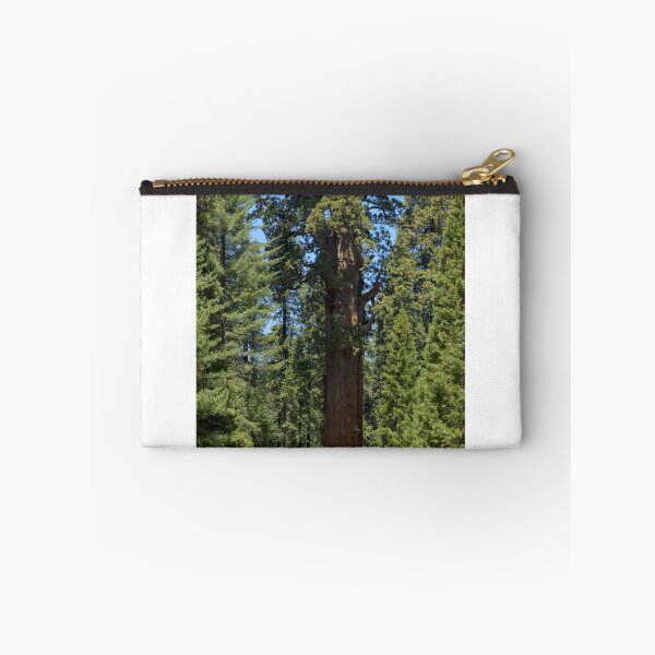 Item preview, The Largest Tree in the World - GigaPan designed and sold by Stephen Beattie.