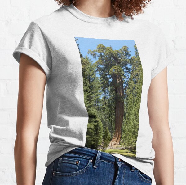 The Largest Tree in the World - GigaPan Classic T-Shirt