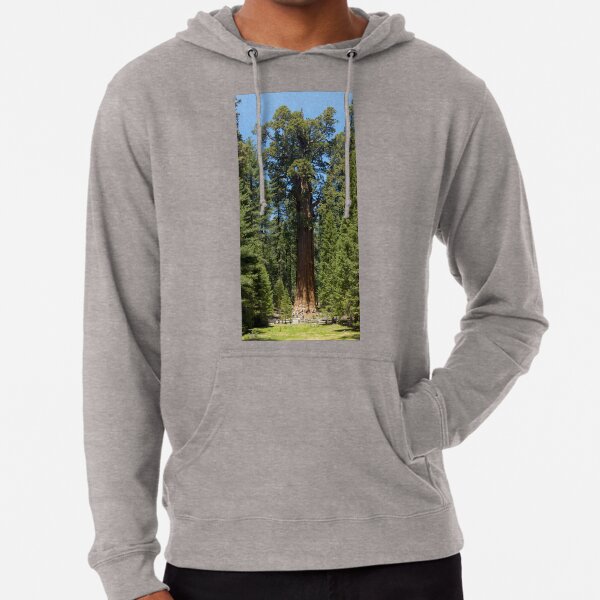 The Largest Tree in the World - GigaPan Lightweight Hoodie